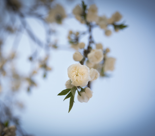 April