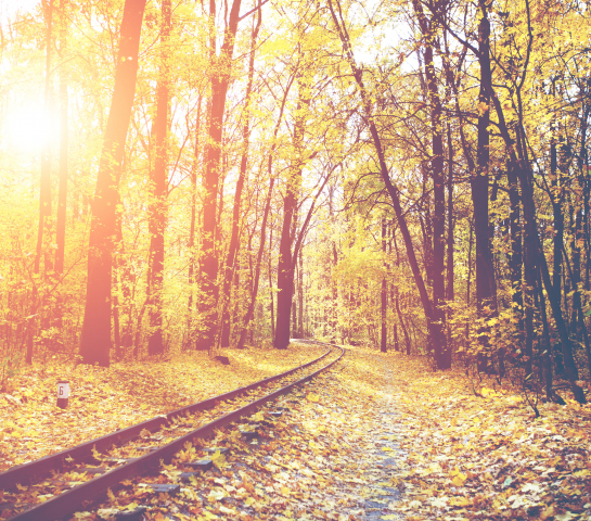 Herbst